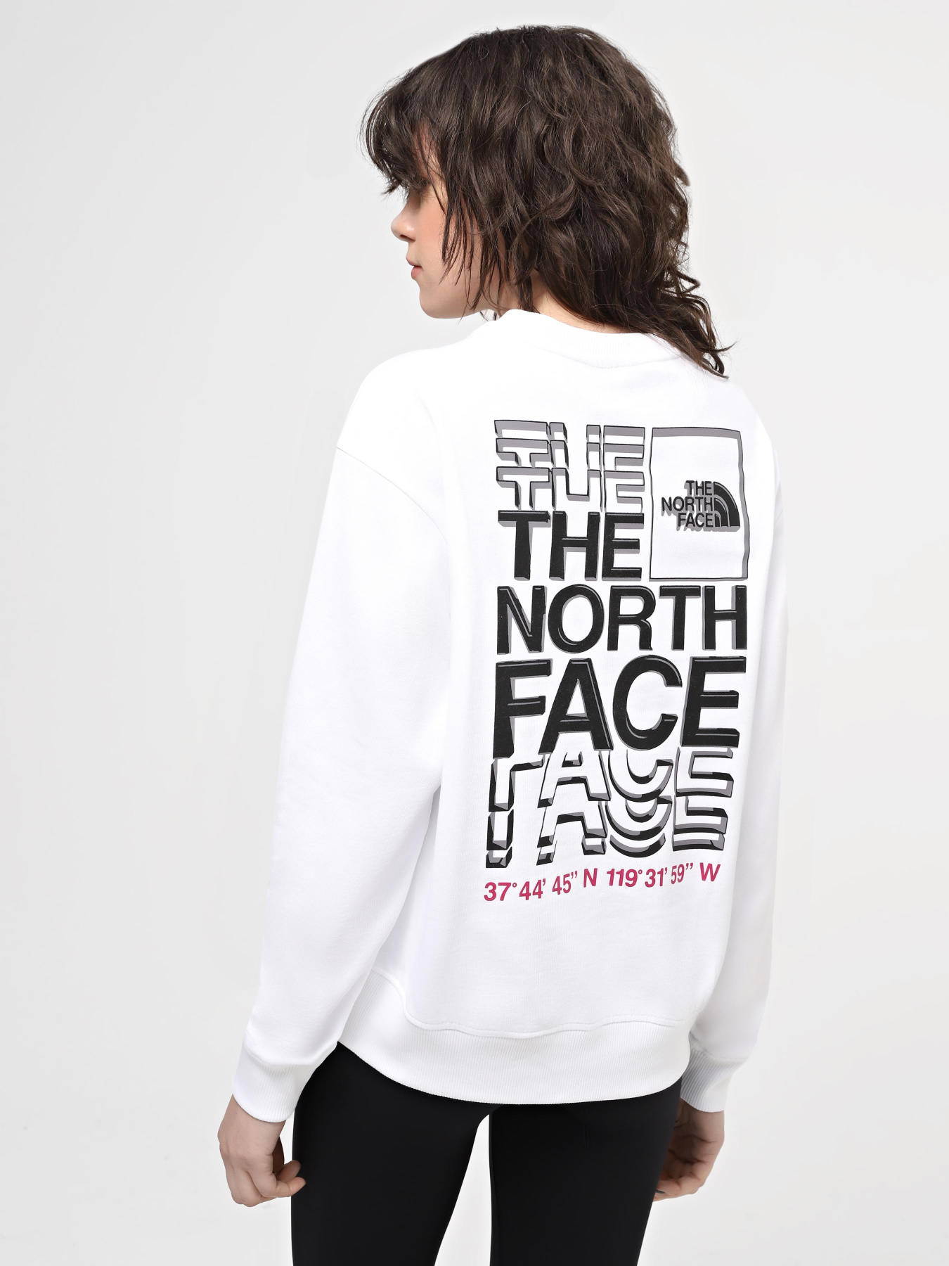 Свитшот The North Face W Ss24 Coordinates Crew модель NF0A87EFFN41 Фото