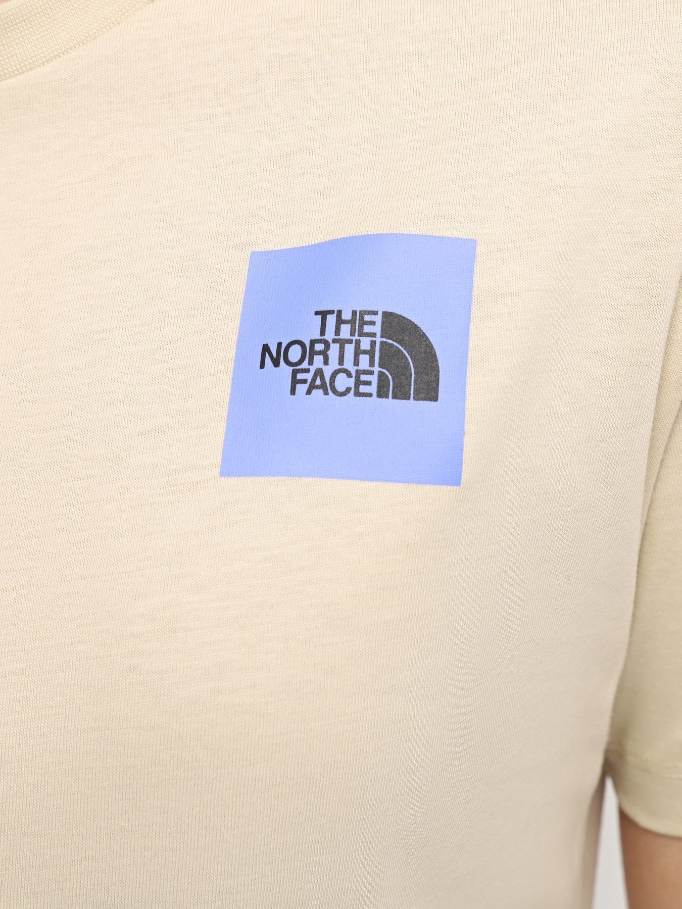 Футболка The North Face W Ss24 Coordinates S/S Tee модель NF0A87EH3X41 Фото
