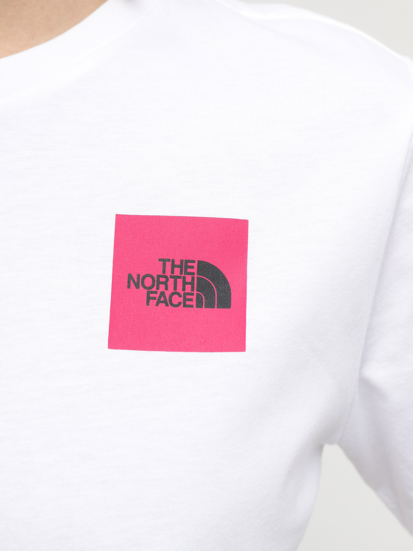 Футболка The North Face W Ss24 Coordinates S/S Tee модель NF0A87EHFN41 Фото