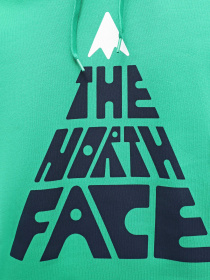 Худі The North Face Mountain модель NF0A87EJPO81 Фото