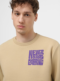 Світшот The North Face M Mountain Play Crew модель NF0A87EKLK51 Фото