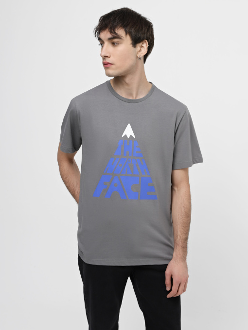 Футболка The North Face Mountain Play модель NF0A87EN0UZ1 Фото