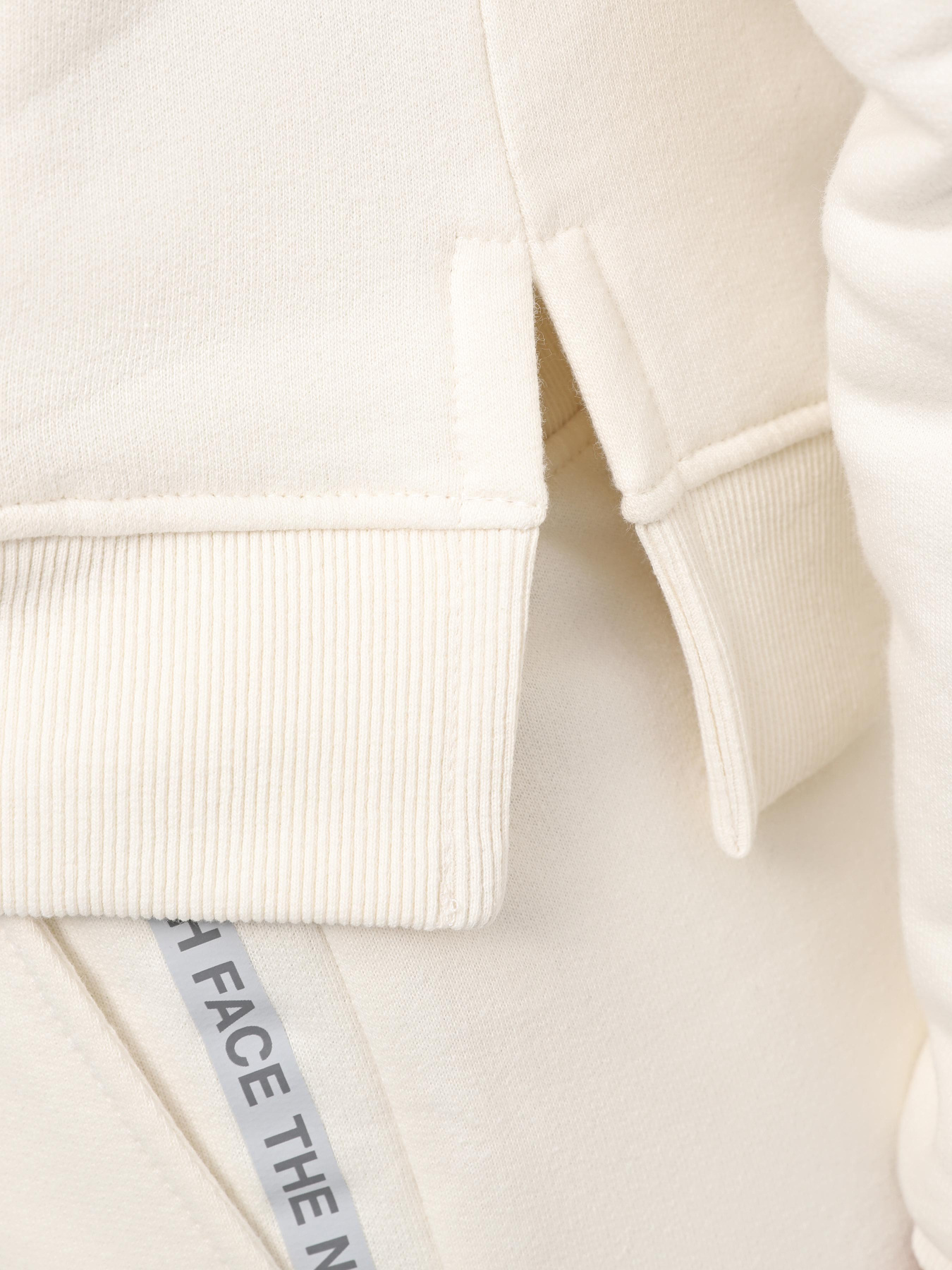 Худи The North Face W Mountain Play Hoodie модель NF0A87EPQLI1 Фото