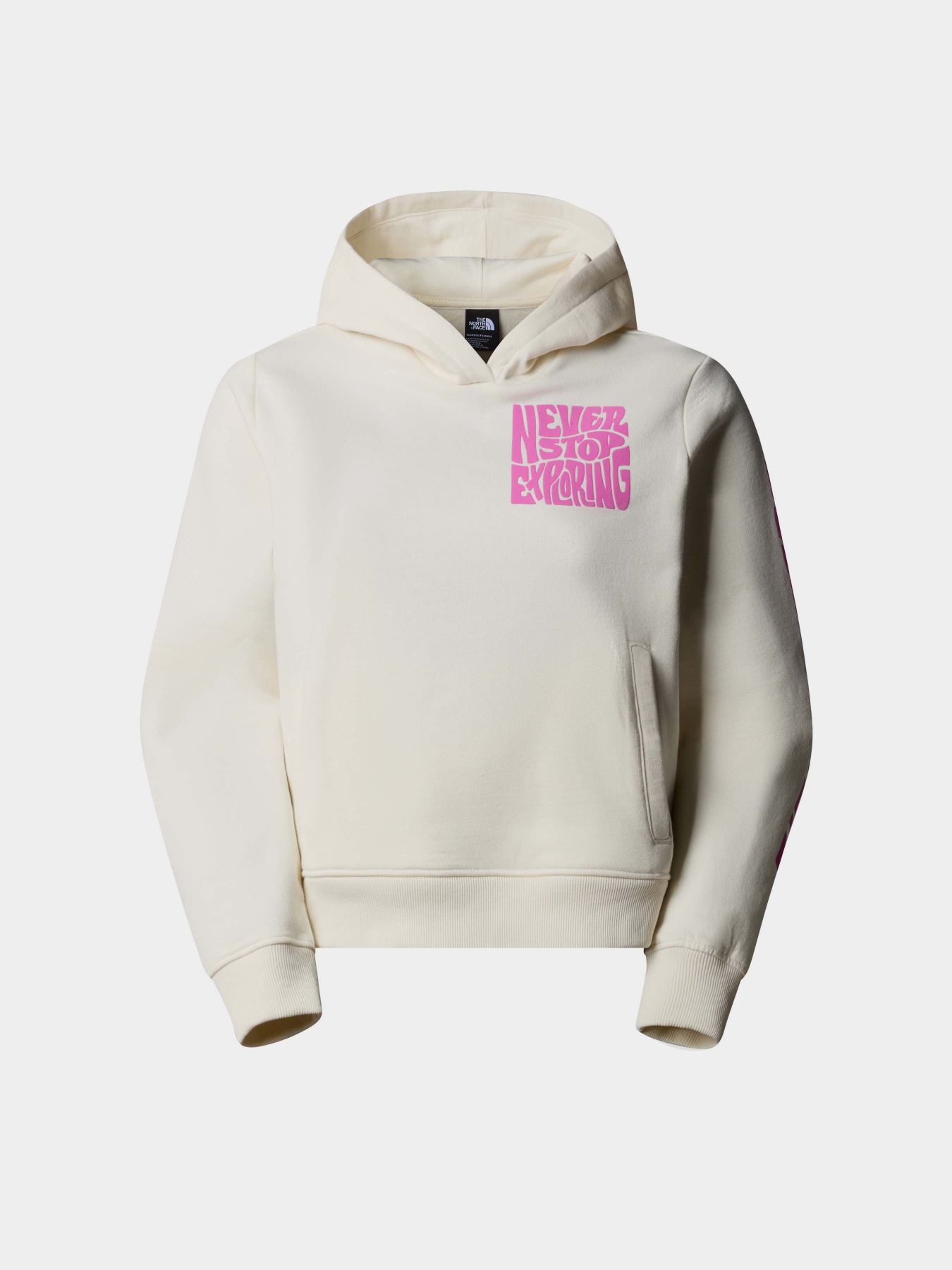 Худі The North Face W Mountain Play Hoodie модель NF0A87EPQLI1 Фото