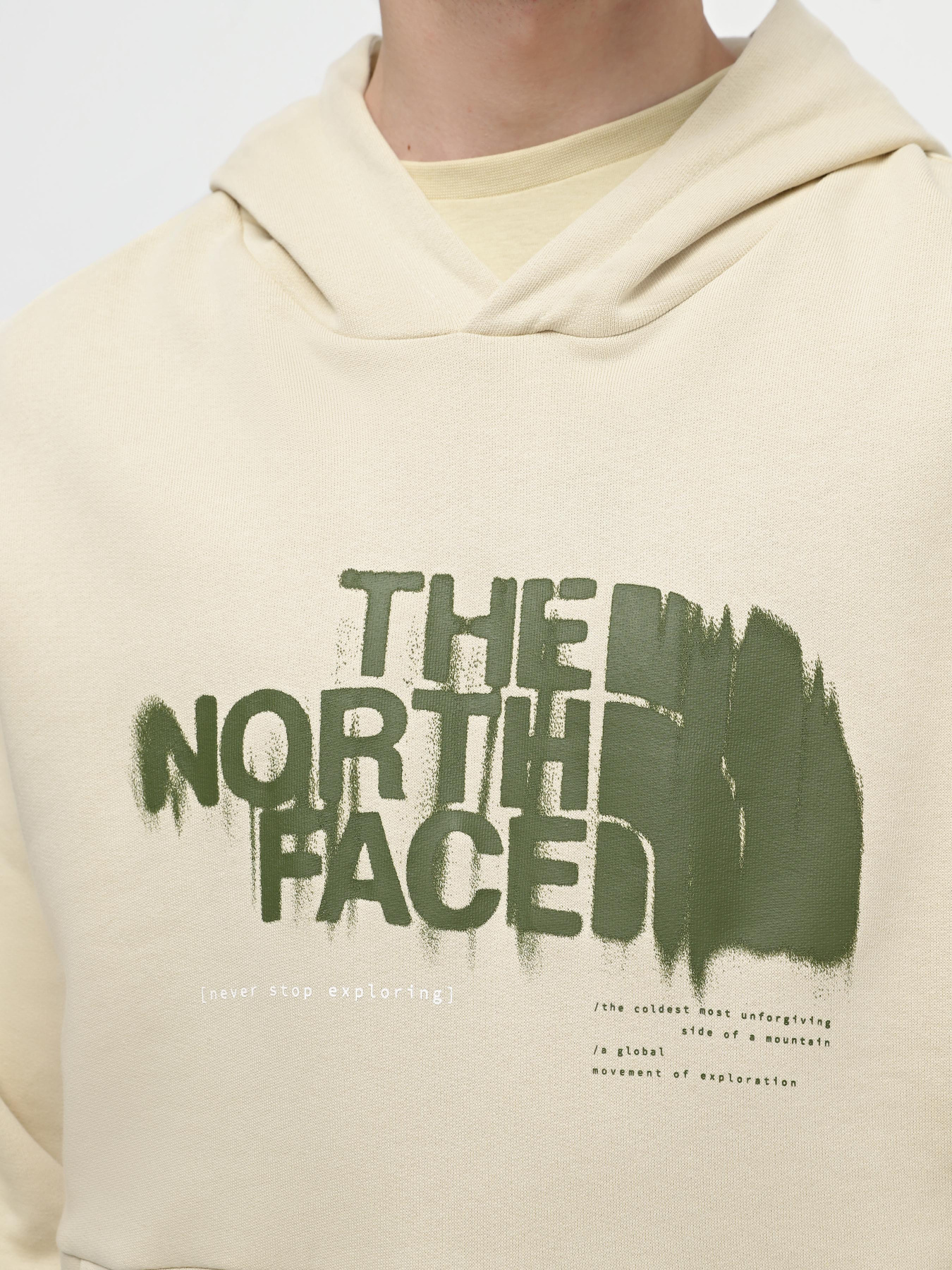 Худі The North Face M Graphic Hoodie 3 модель NF0A87ET3X41 Фото