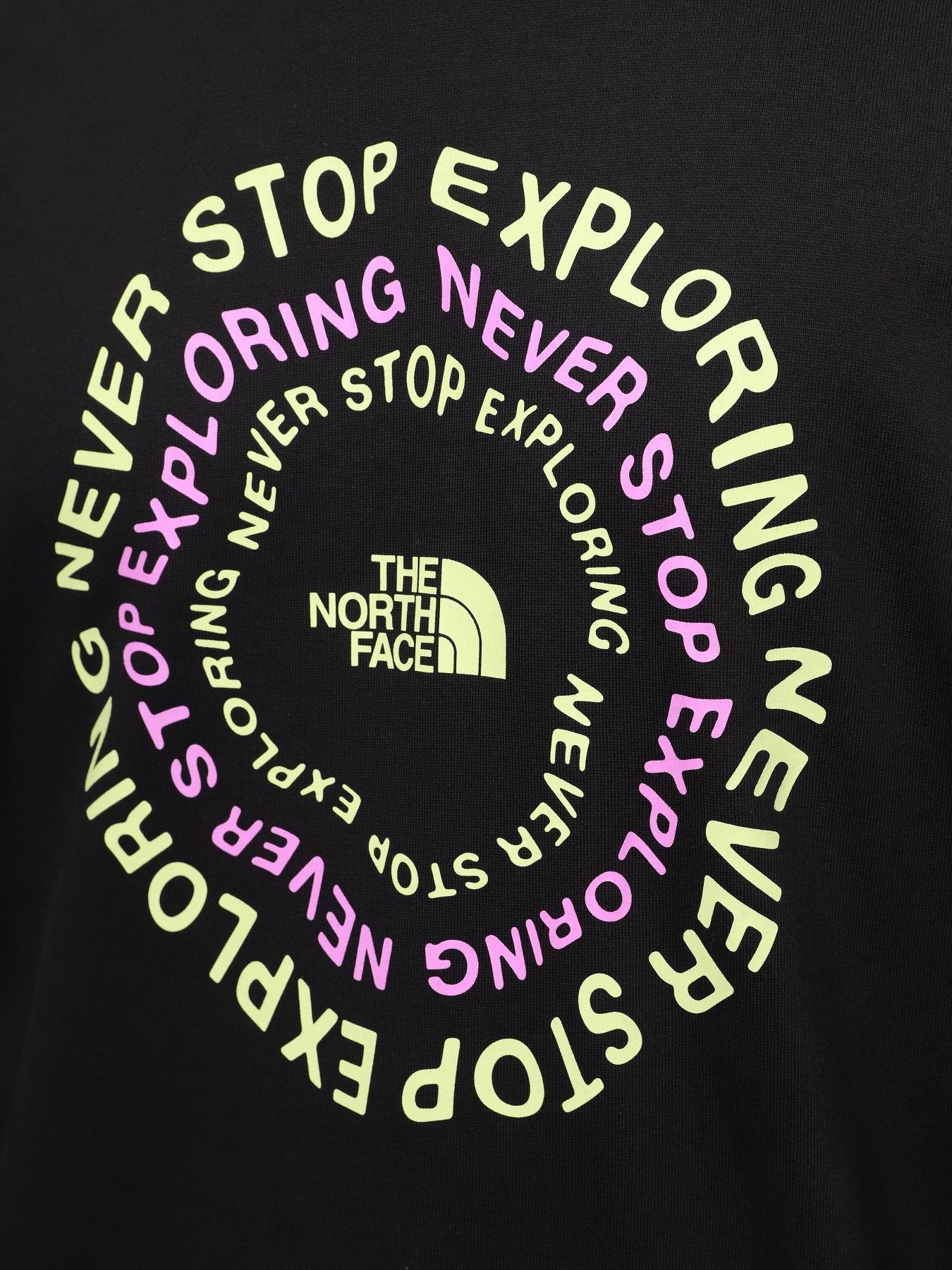 Худи The North Face U Nse Graphic Hoodie модель NF0A87F3JK31 Фото