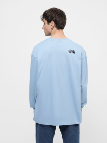 Свитшот The North Face U Nse Graphic L/S Tee модель NF0A87F5QEO1 Фото
