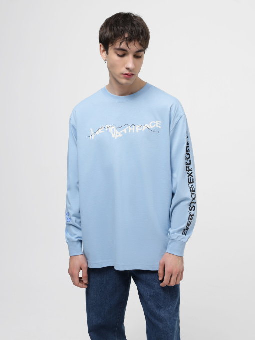 Свитшот The North Face U Nse Graphic L/S Tee модель NF0A87F5QEO1 Фото