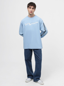 Світшот The North Face U Nse Graphic L/S Tee модель NF0A87F5QEO1 Фото