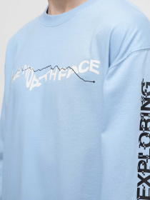 Світшот The North Face U Nse Graphic L/S Tee модель NF0A87F5QEO1 Фото