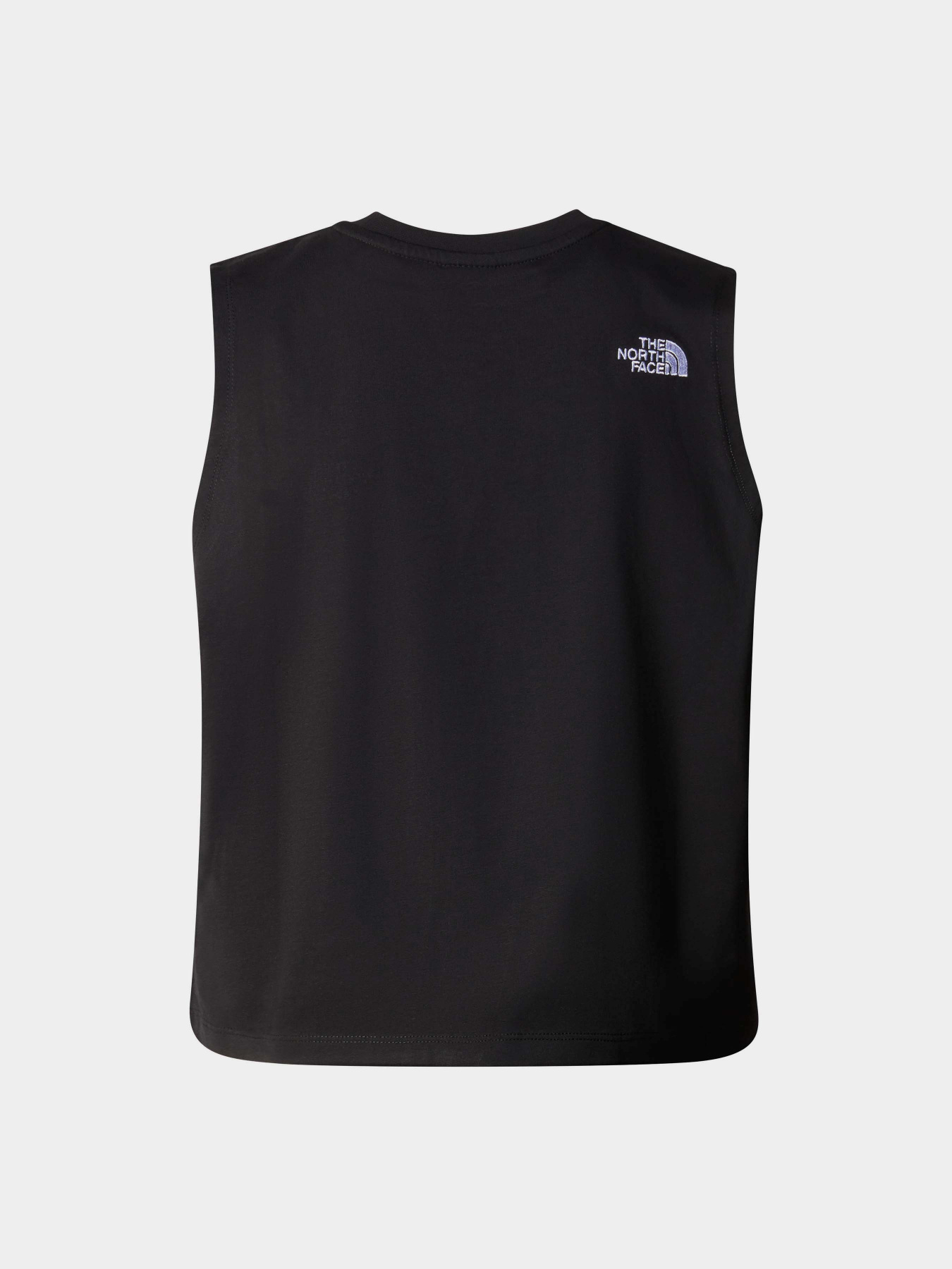 Майка The North Face Relaxed Simple Dome модель NF0A87FAJK31 Фото