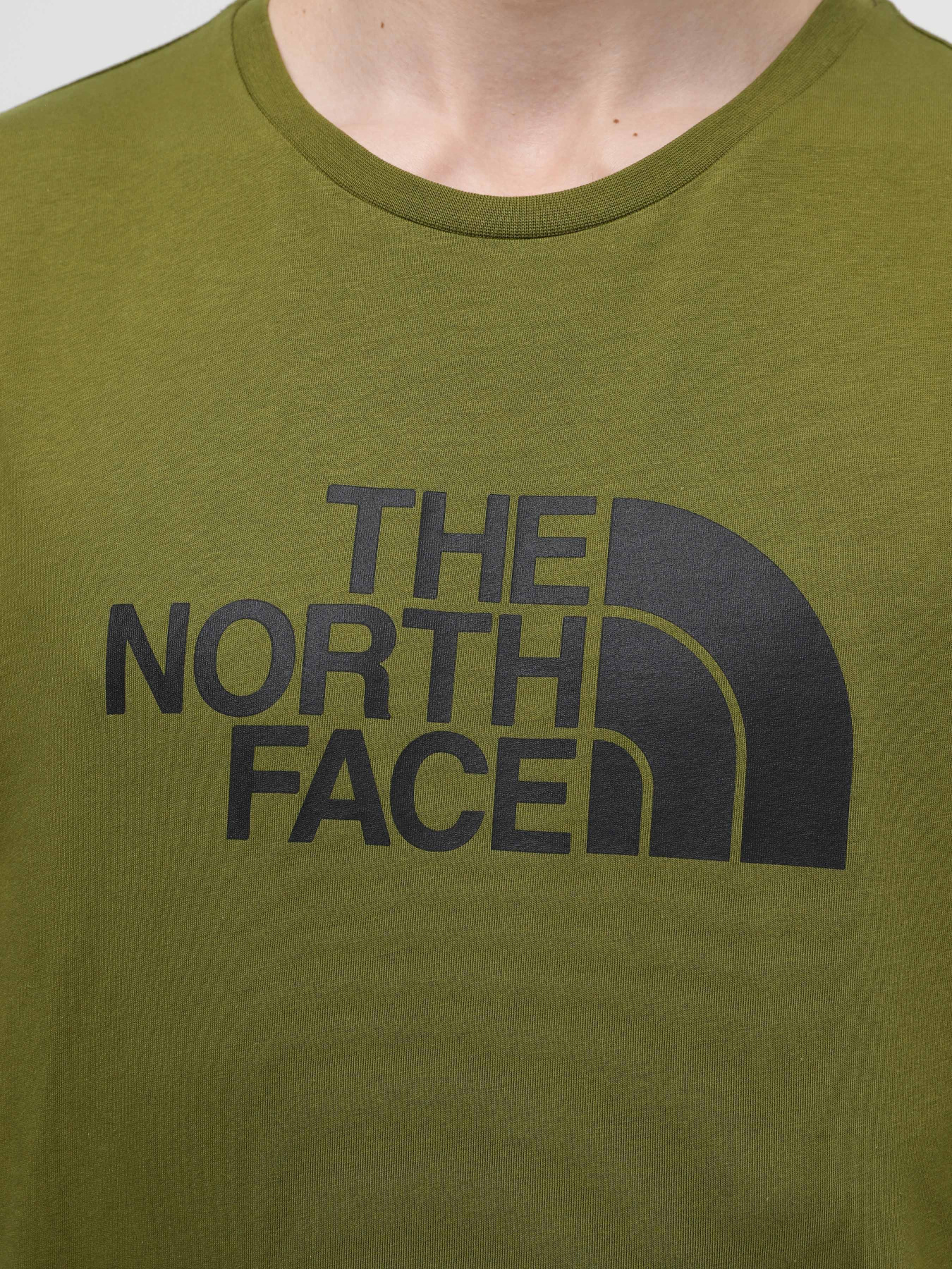 Футболка The North Face Easy модель NF0A87N5PIB1 Фото