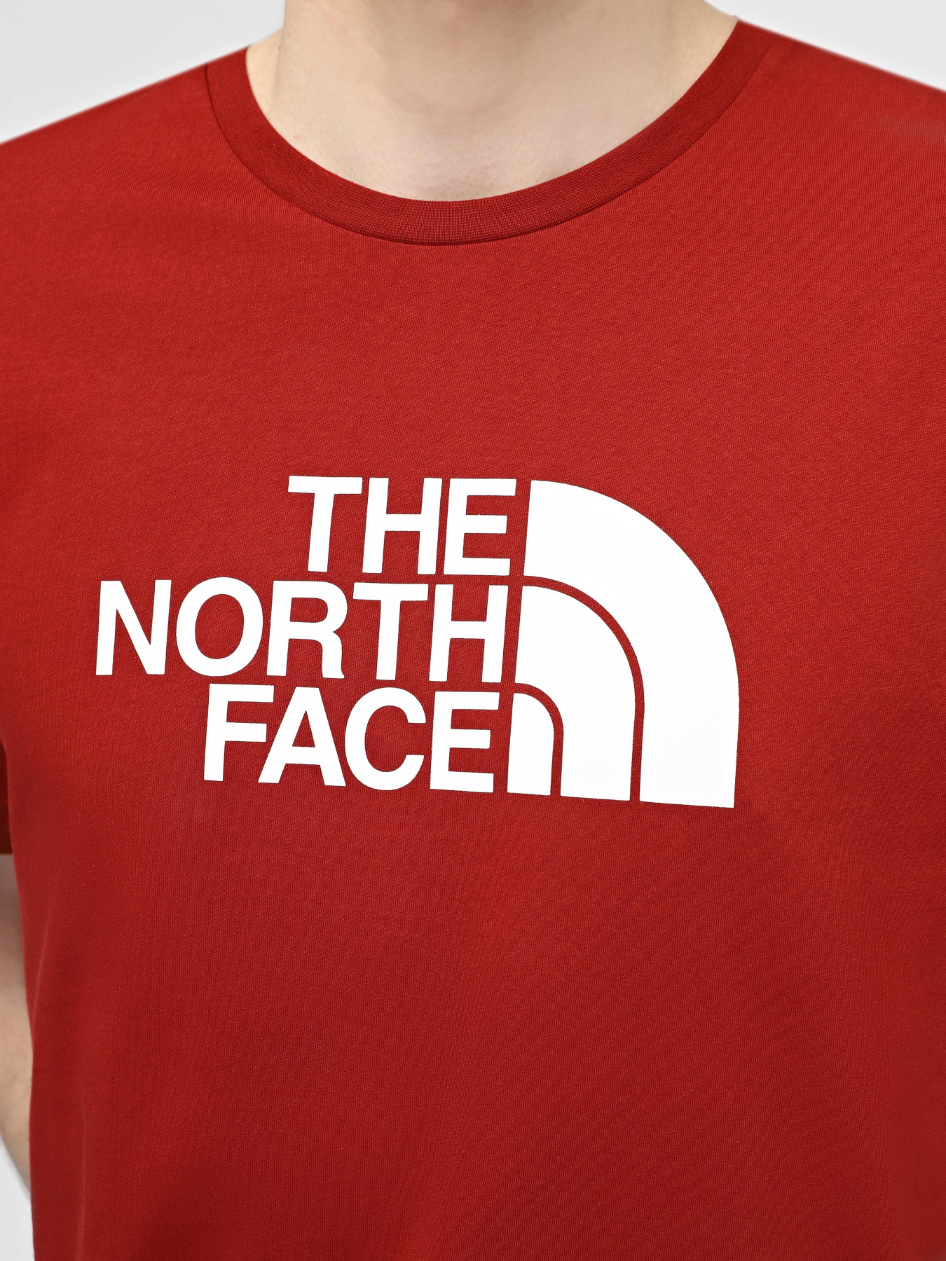 Футболка The North Face M S/S Easy Tee модель NF0A87N5POJ1 Футболка The North Face M S/S Easy Tee модель NF0A87N5POJ1 Фото