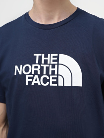 Футболка The North Face Easy модель NF0A87N58K21 Фото