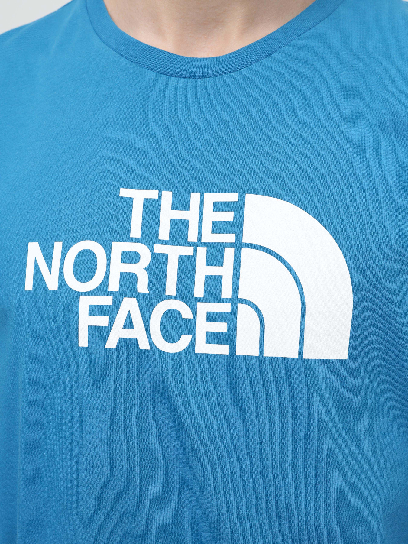 Футболка The North Face Easy модель NF0A87N5RBI1 Фото