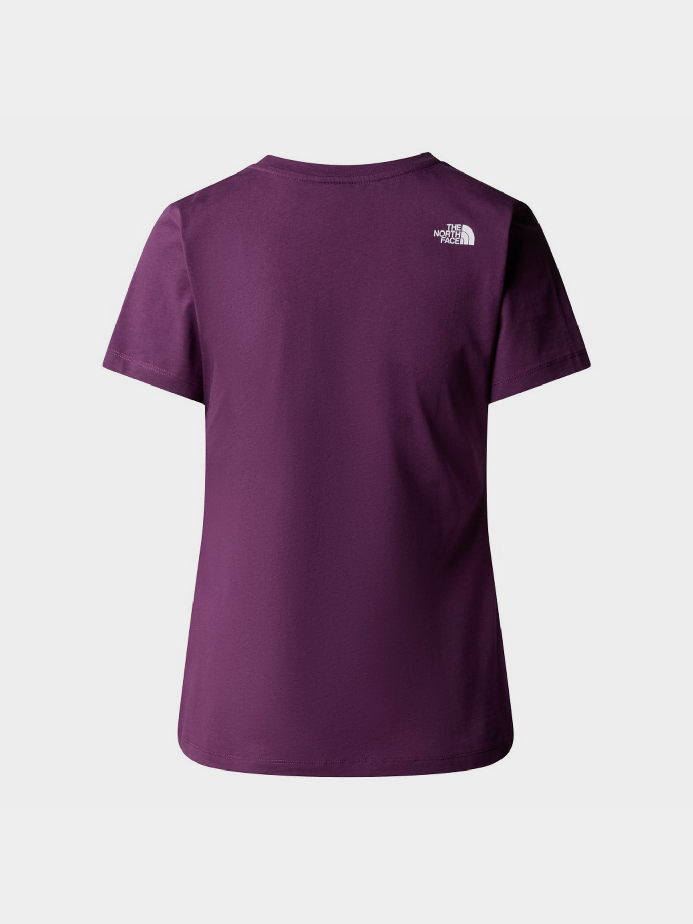 Футболка The North Face S/S Easy модель NF0A87N6V6V1 Фото