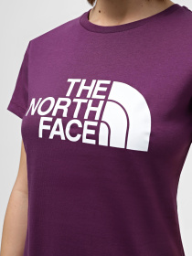 Футболка The North Face S/S Easy модель NF0A87N6V6V1 Фото