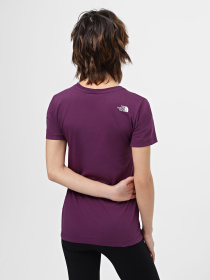 Футболка The North Face S/S Easy модель NF0A87N6V6V1 Фото