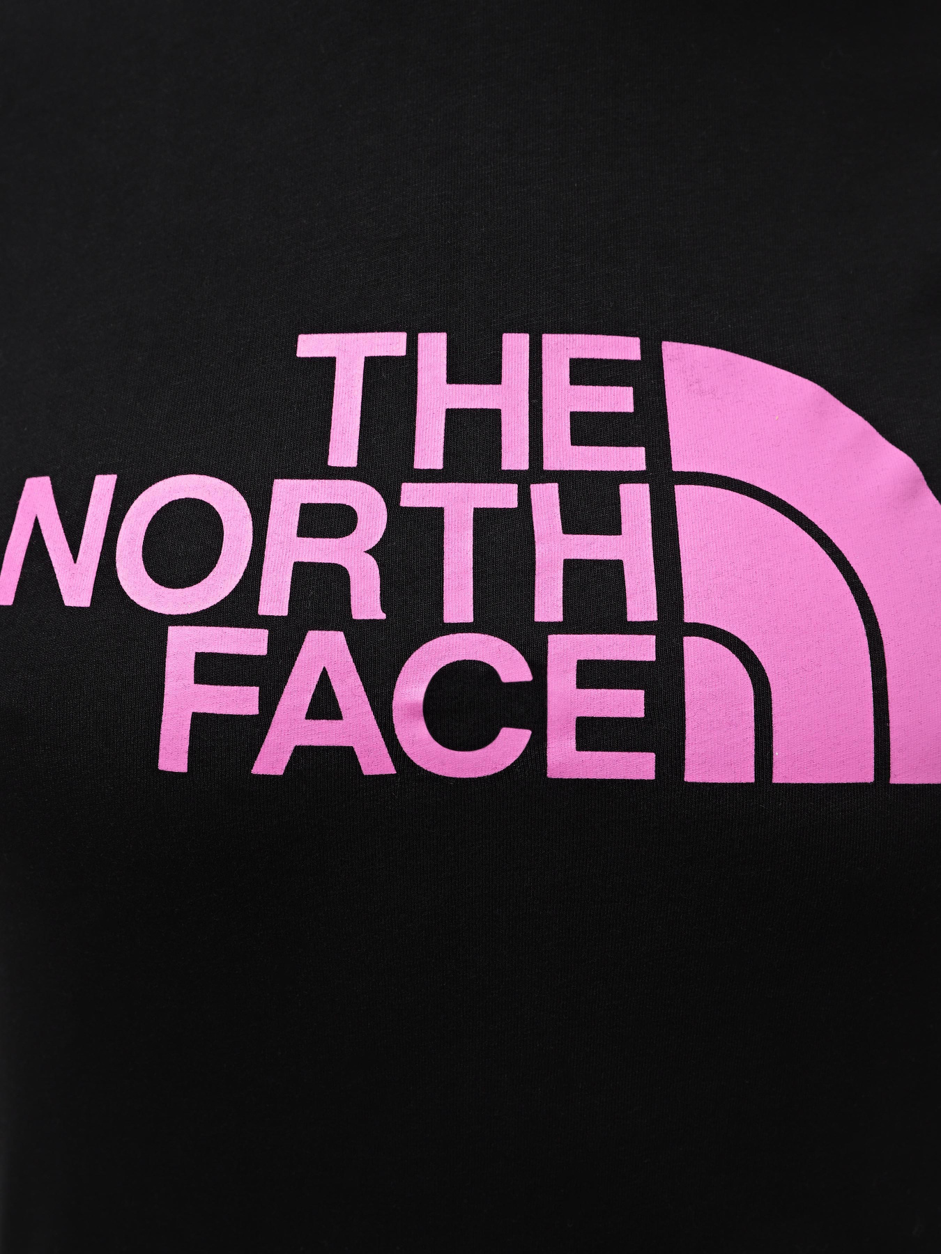 Футболка The North Face W S/S Easy Tee модель NF0A87N6YES1 Фото
