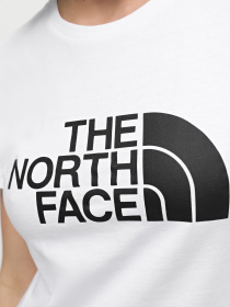 Футболка The North Face Easy модель NF0A87N6FN41 Фото