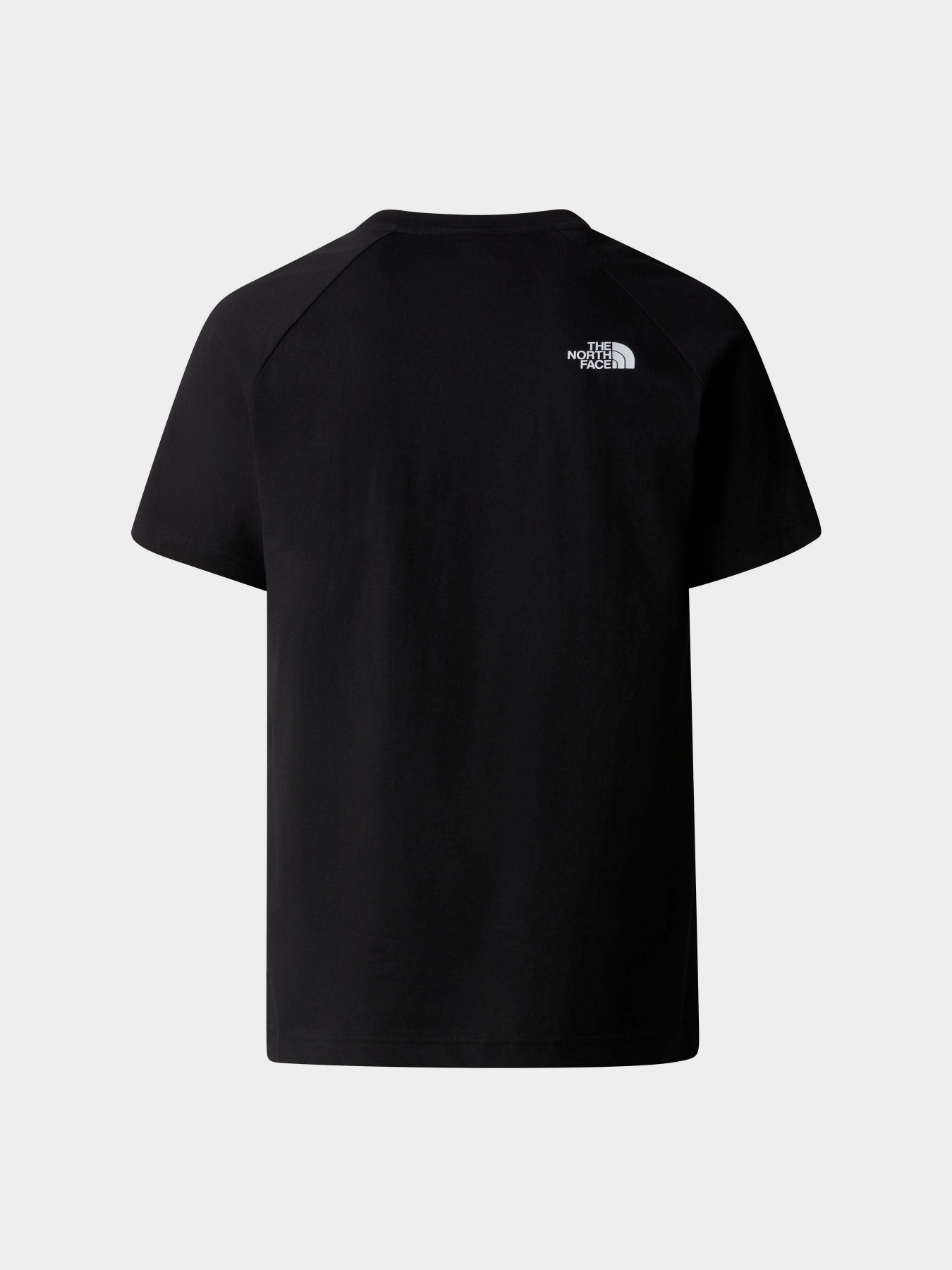 Футболка The North Face Easy модель NF0A87N7JK31 Фото