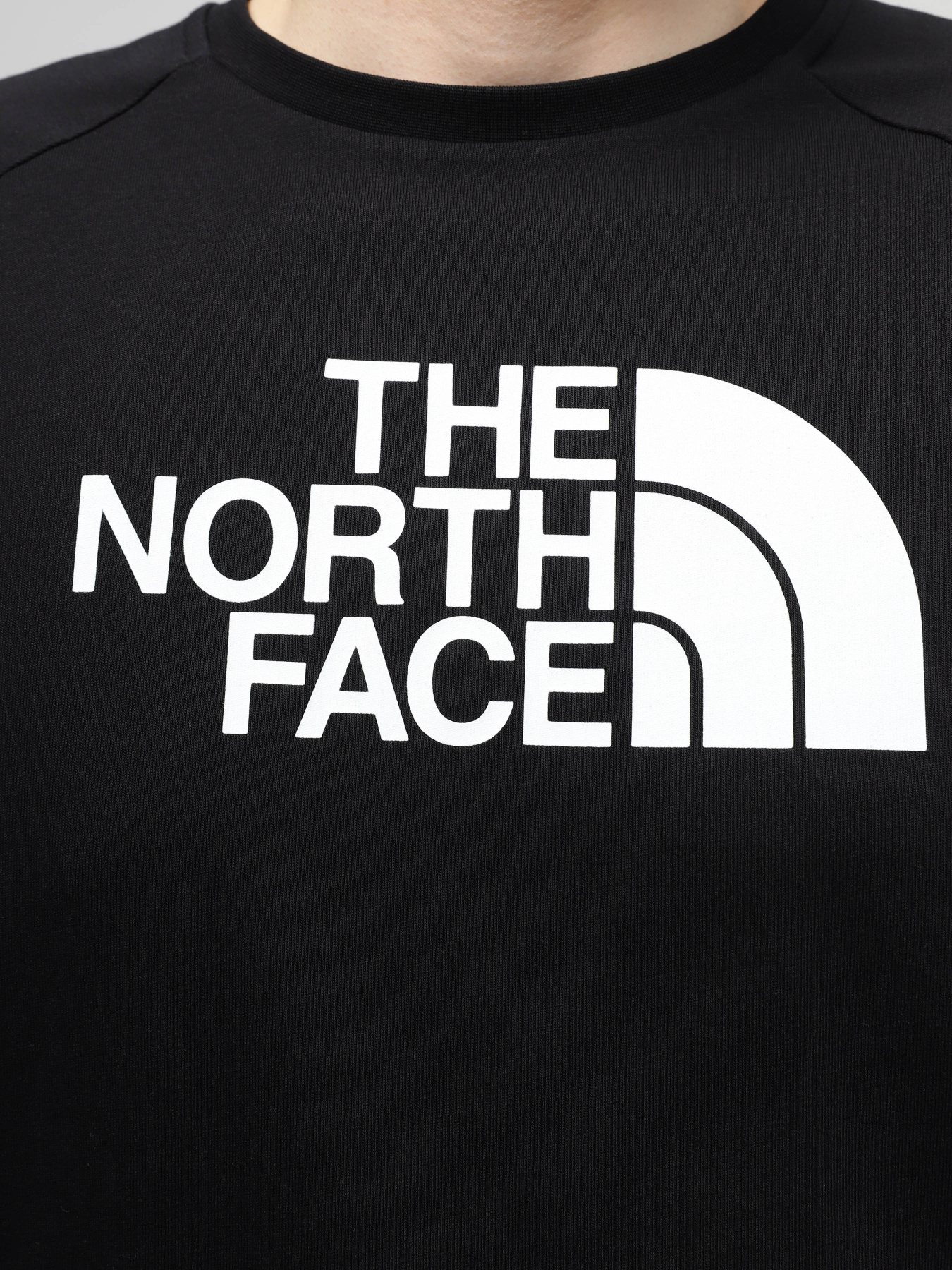 Футболка The North Face Easy модель NF0A87N7JK31 Фото