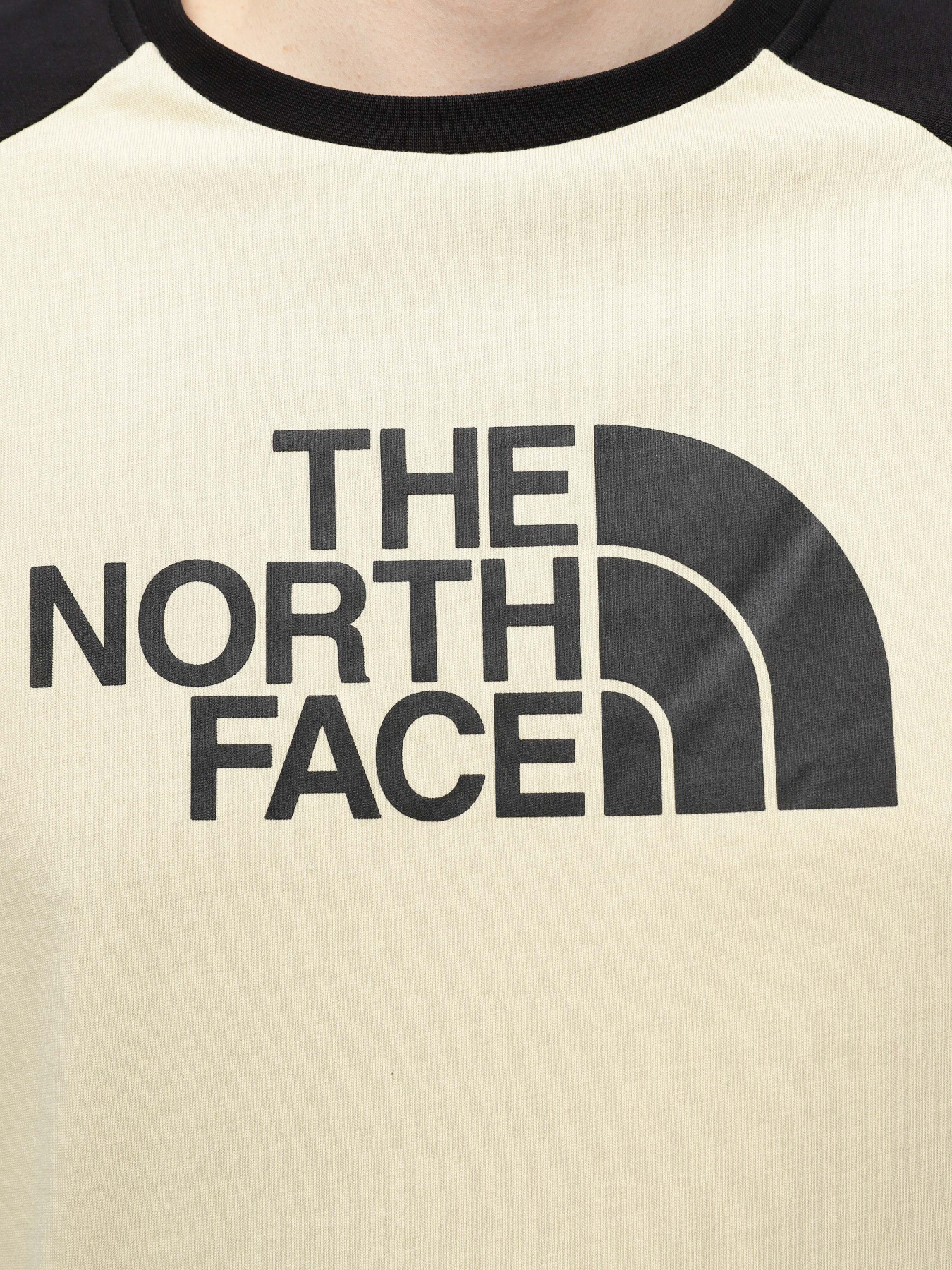 Футболка The North Face Easy модель NF0A87N73X41 Фото