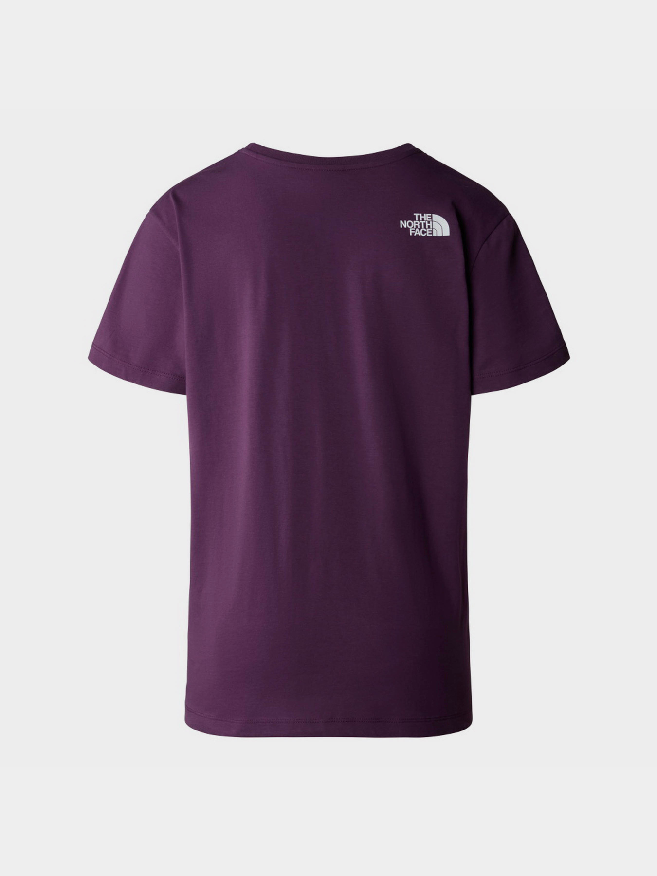 Футболка The North Face W Relaxed Easy модель NF0A87N9V6V1 Фото