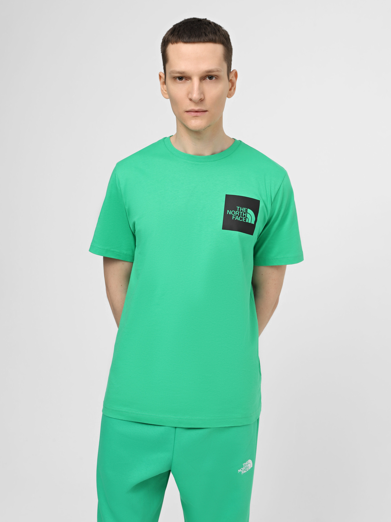 Футболка The North Face M S/S Fine Tee модель NF0A87NDPO81 Фото