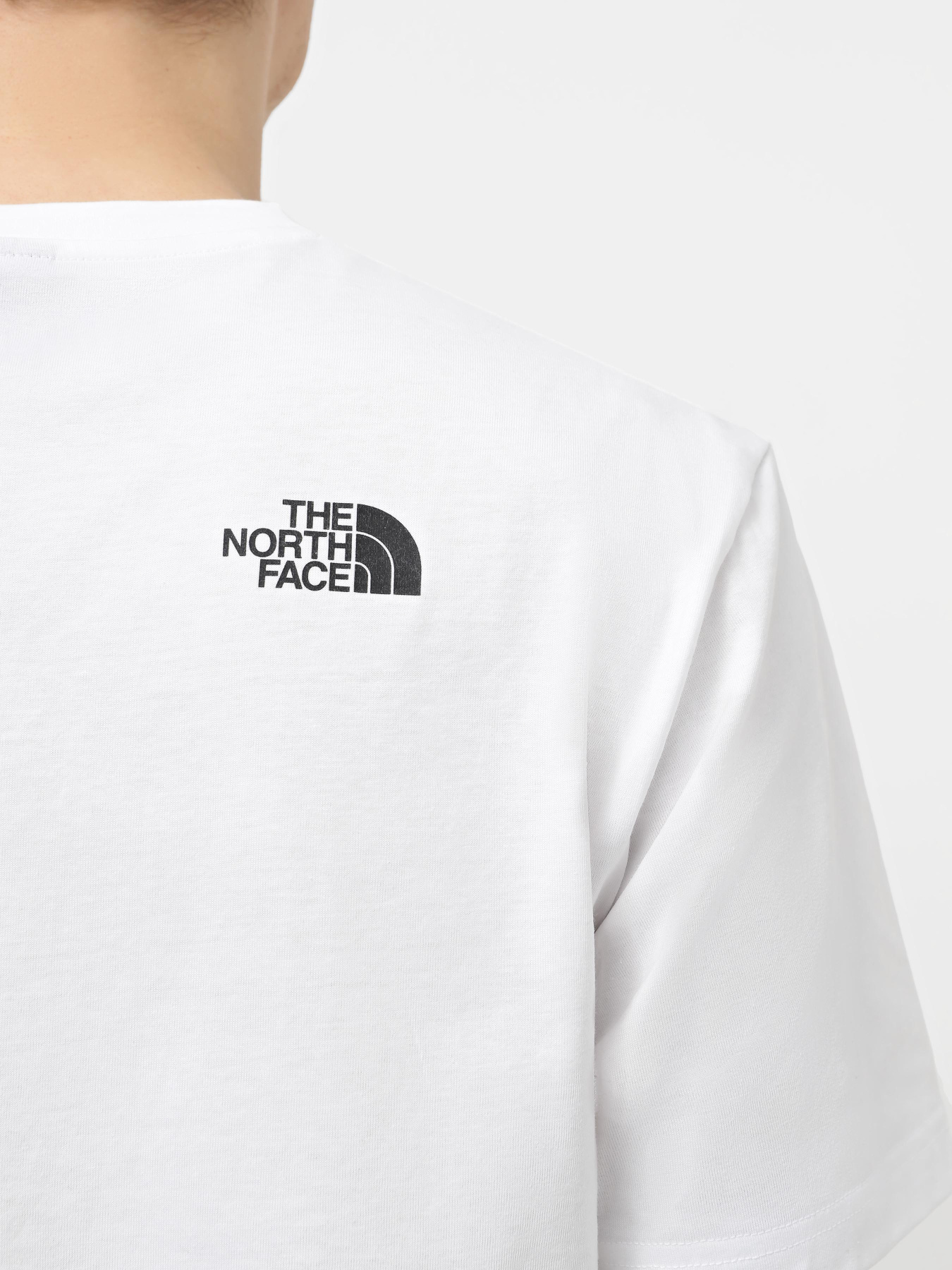 Футболка The North Face Simple Dome Модель NF0A87NGFN41 Фото