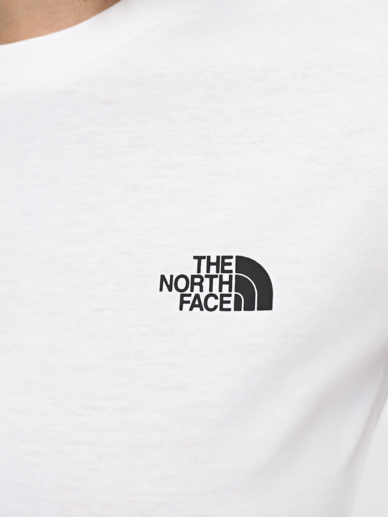 Футболка The North Face Simple Dome модель NF0A87NHFN41 Фото