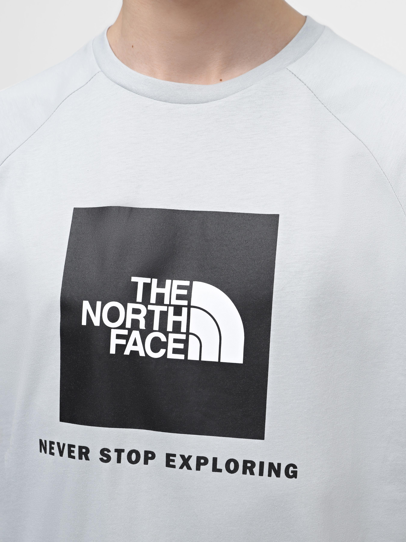 Футболка The North Face Raglan Redbox модель NF0A87NJA0M1 Фото