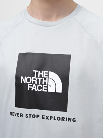 Футболка The North Face Raglan Redbox модель NF0A87NJA0M1 Фото