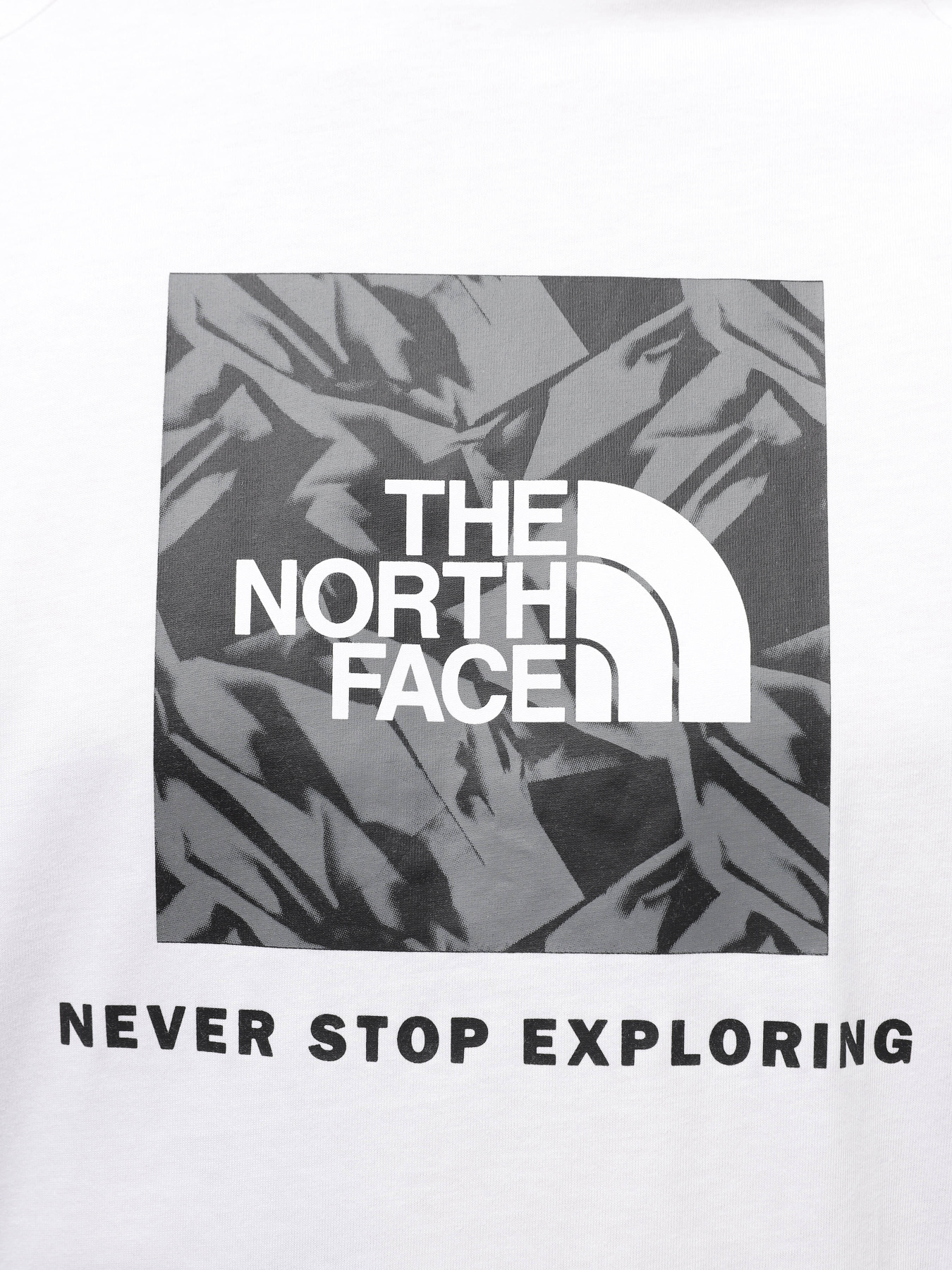 Футболка The North Face Raglan Redbox модель NF0A87NJZI51 Фото