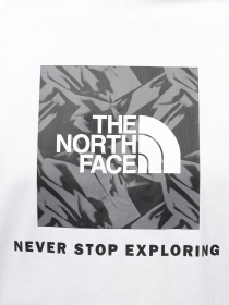 Футболка The North Face Raglan Redbox модель NF0A87NJZI51 Фото