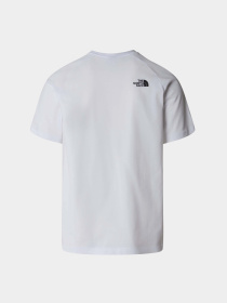 Футболка The North Face Raglan Redbox модель NF0A87NJZI51 Фото
