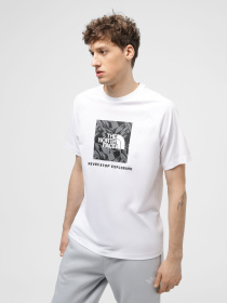 Футболка The North Face Raglan Redbox модель NF0A87NJZI51 Фото