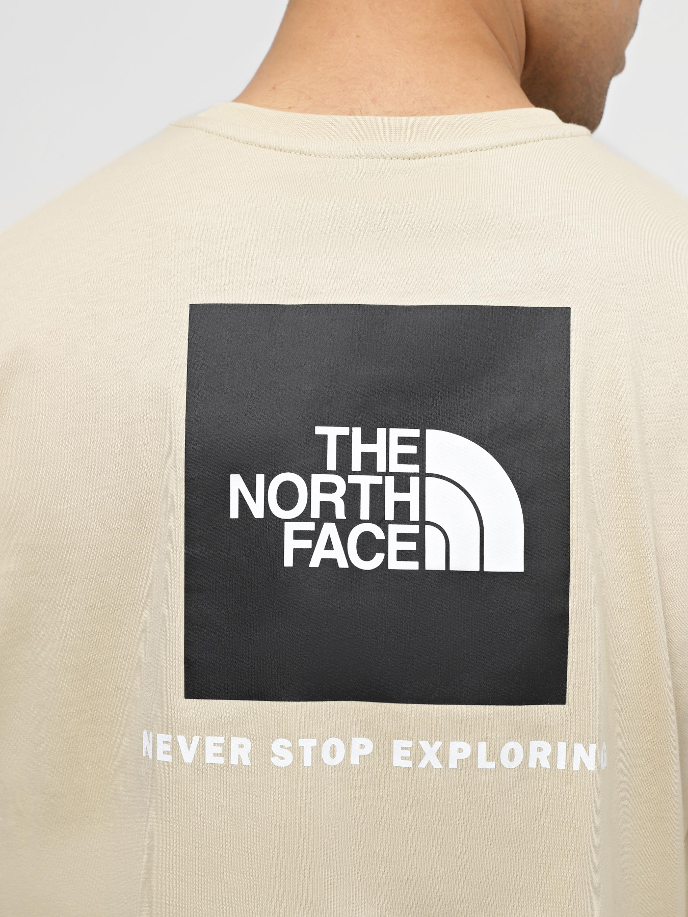 Футболка The North Face Redbox модель NF0A87NP3X41 Футболка The North Face Redbox модель NF0A87NP3X41 Фото