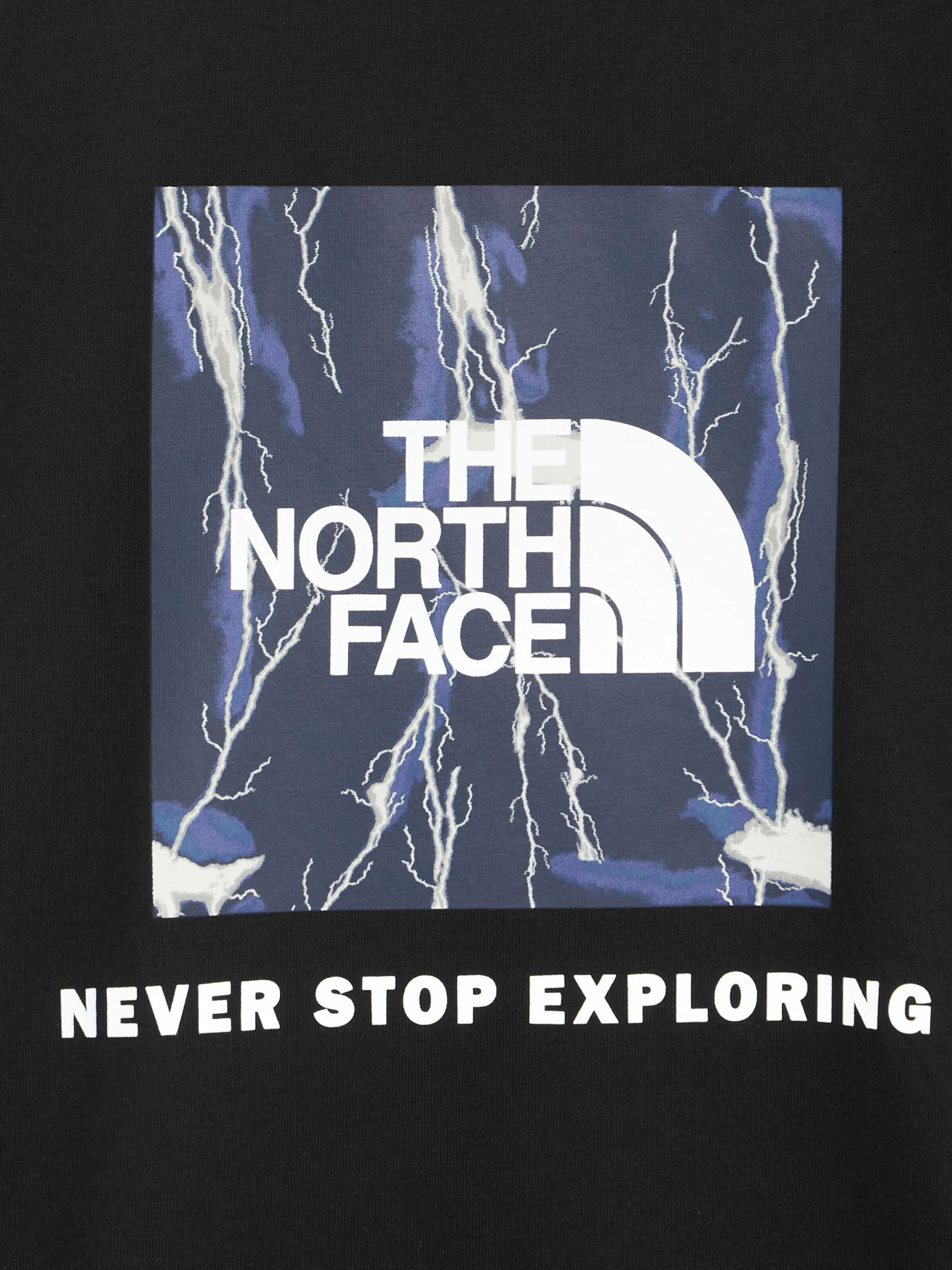 Футболка The North Face Redbox модель NF0A87NPYGO1 Фото