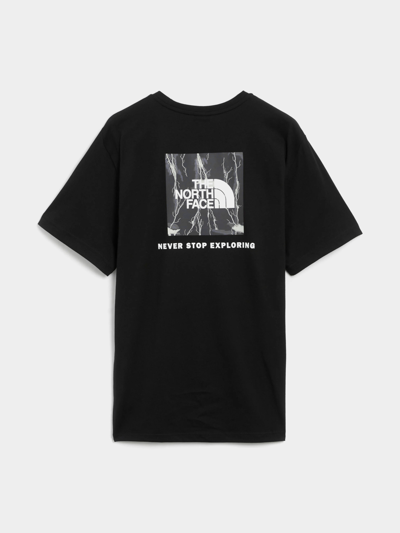 Футболка The North Face Redbox модель NF0A87NPYGO1 Фото