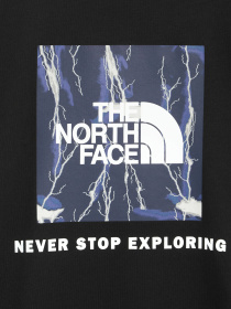 Футболка The North Face Redbox модель NF0A87NPYGO1 Фото