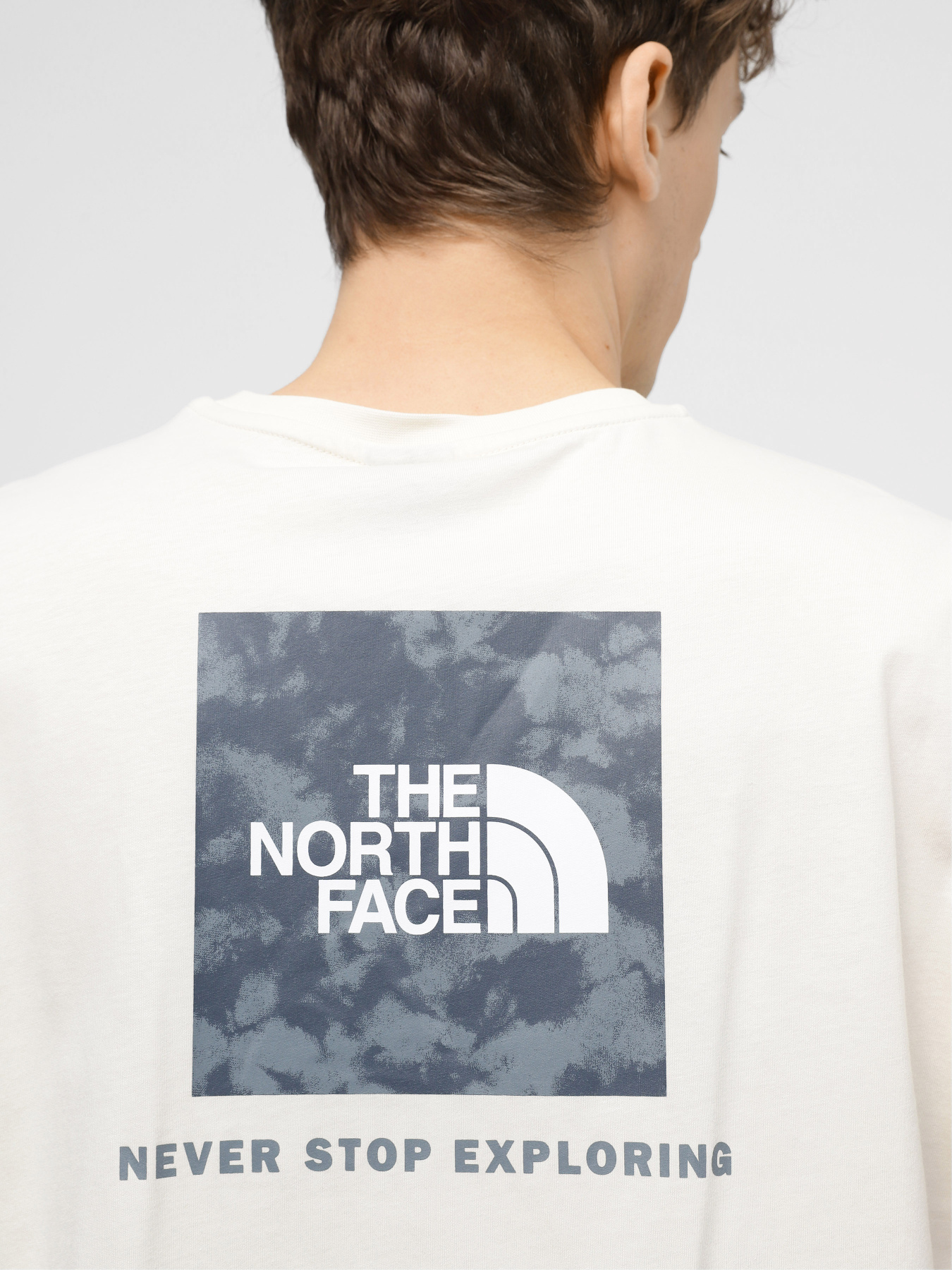 Футболка The North Face Redbox модель NF0A87NPY1I1 Фото