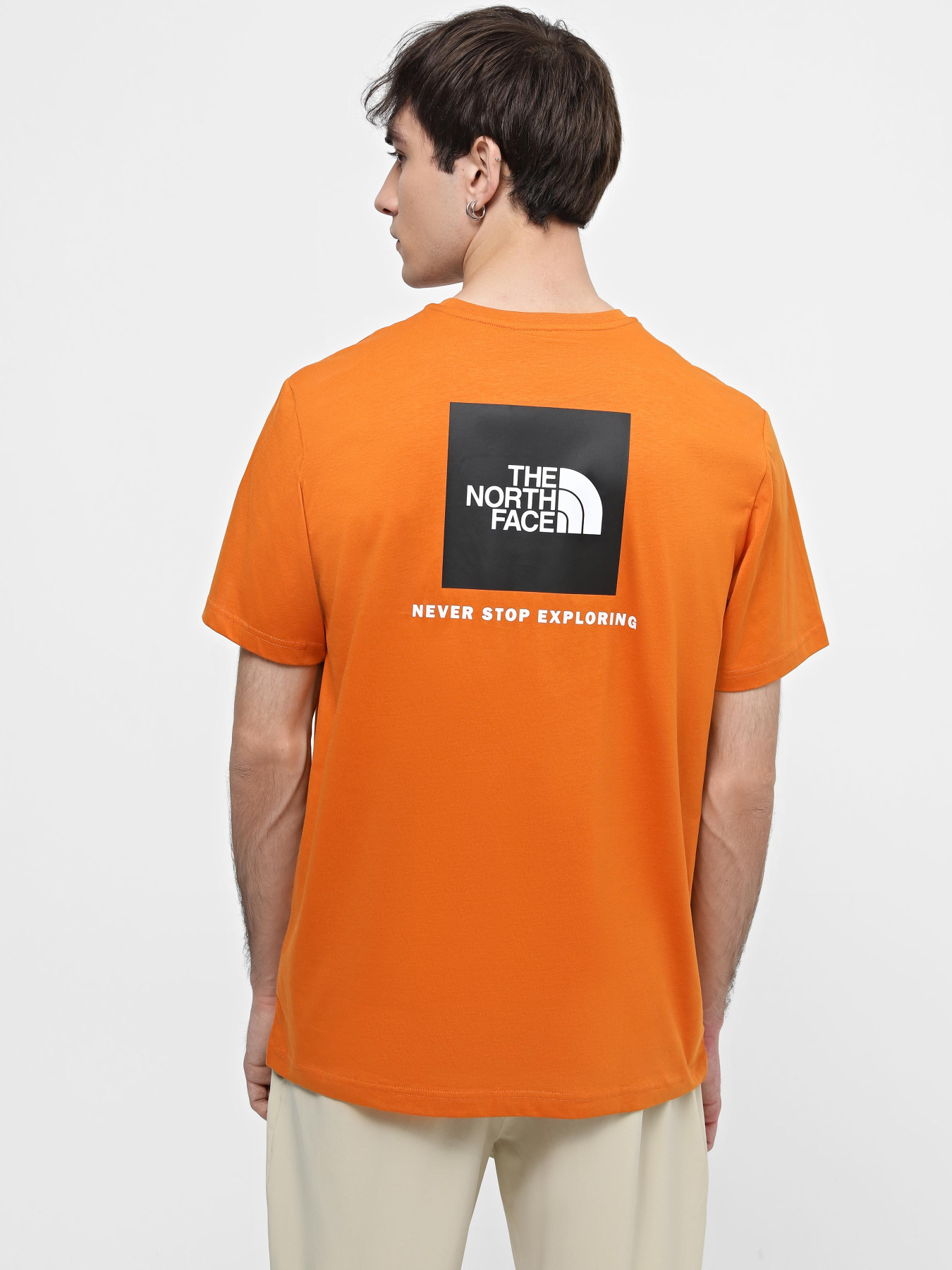 Футболка The North Face Redbox модель NF0A87NPPCO1 Фото