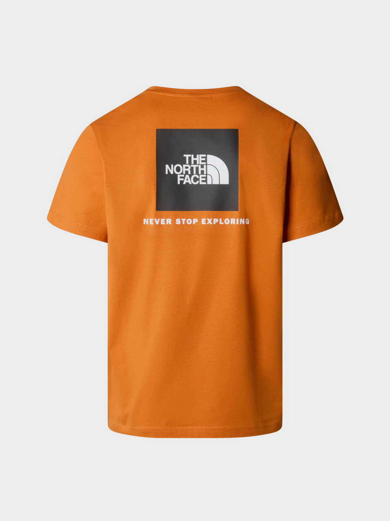 Футболка The North Face Redbox модель NF0A87NPPCO1 Фото