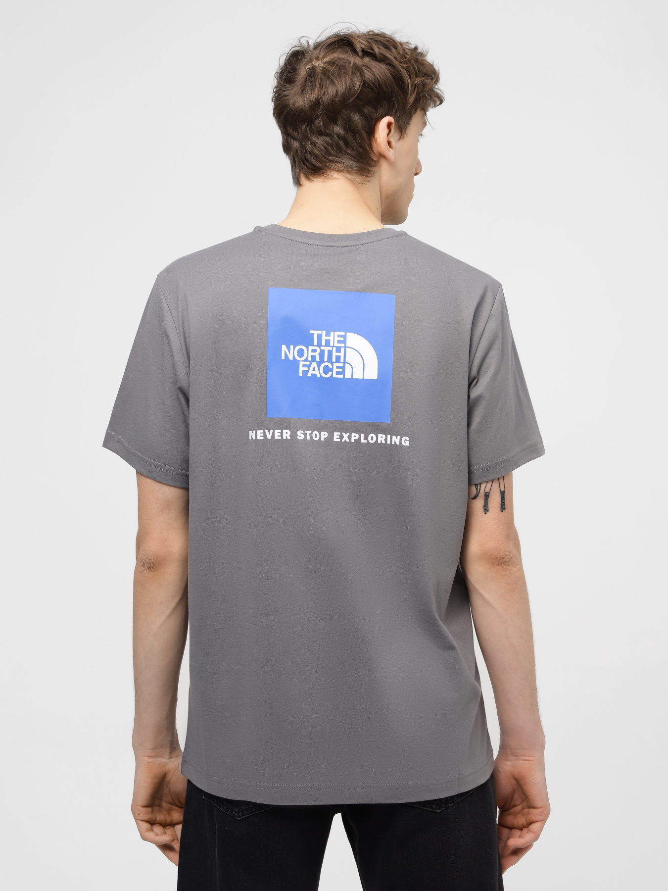 Футболка The North Face Redbox модель NF0A87NP0UZ1 Фото