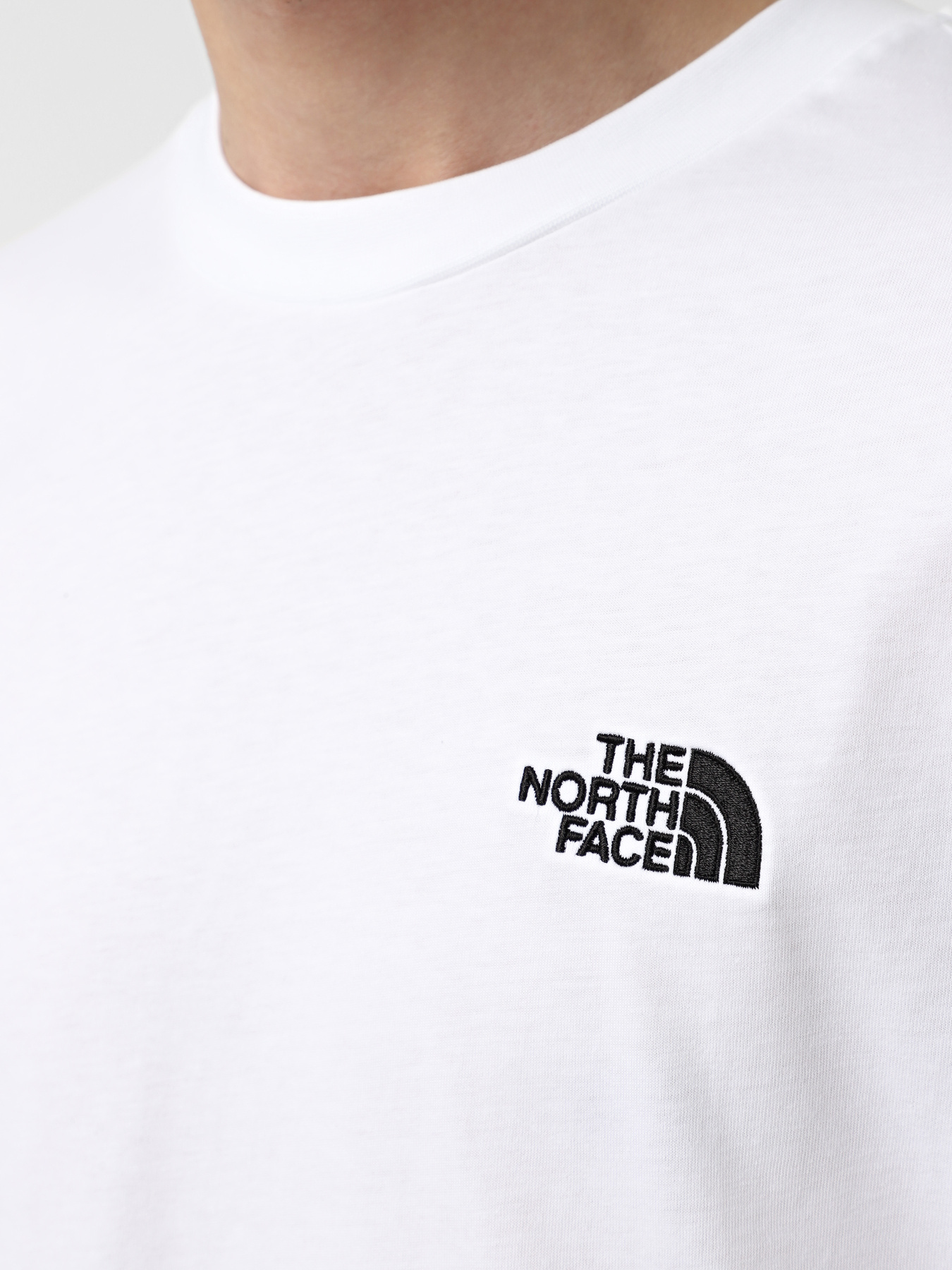 Футболка The North Face Oversized Simple Dome модель NF0A87NRFN41 Фото