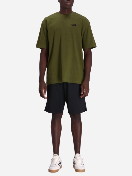 Футболка The North Face Oversized Simple Dome модель NF0A87NRPIB1 Фото