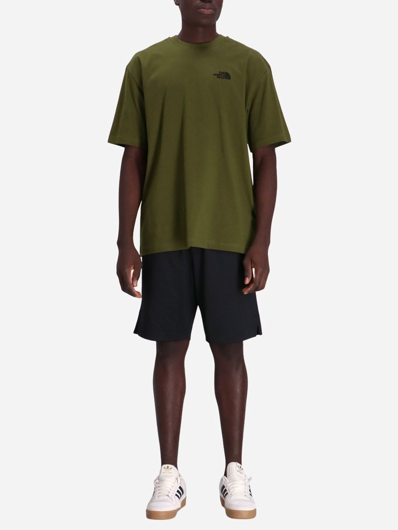 Футболка The North Face Oversized Simple Dome модель NF0A87NRPIB1 Фото