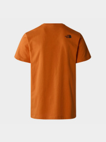 Футболка The North Face Never Stop Exploring модель NF0A87NSPCO1 Фото