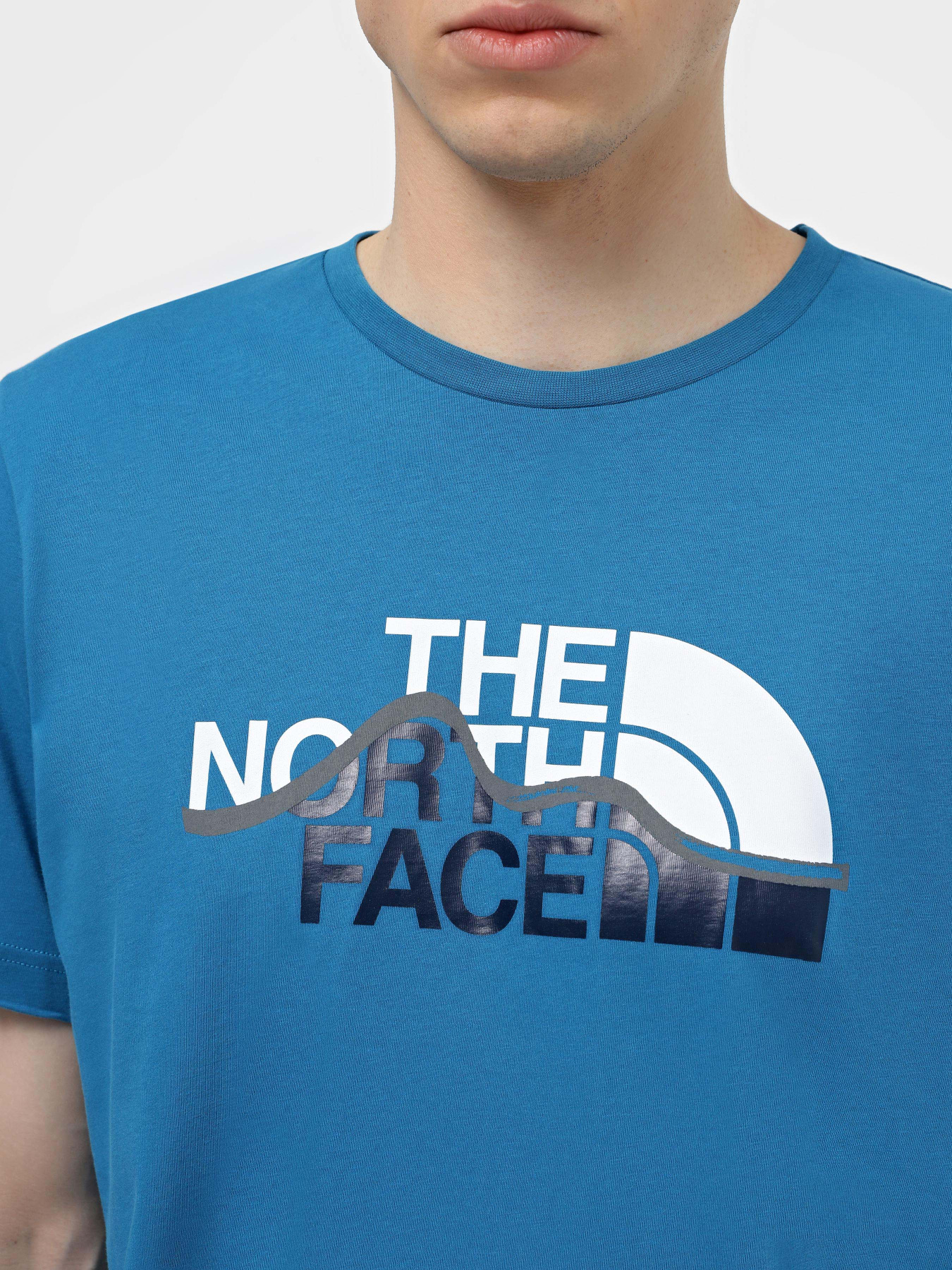 Футболка The North Face Mountain Line модель NF0A87NTRBI1 Фото